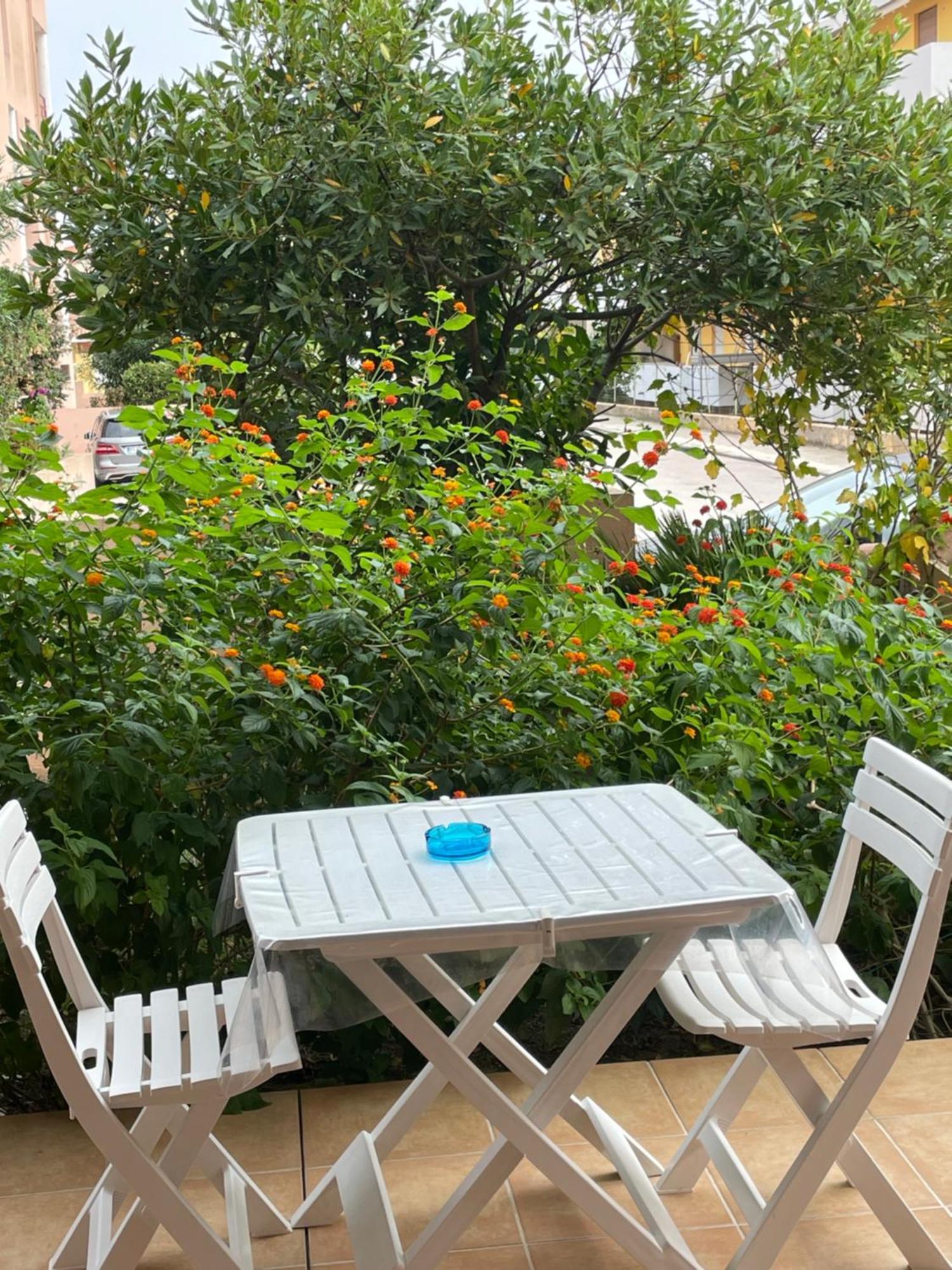 Case Del Mar Santa Teresa Gallura Ngoại thất bức ảnh
